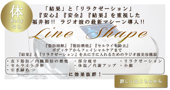 美ボディ・痩身