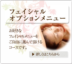 フェイシャルオプションメニュー