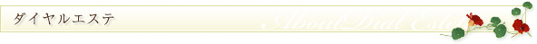 ダイヤルエステ