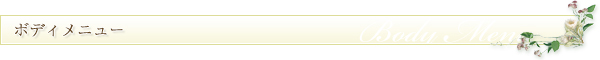 ボディメニュー