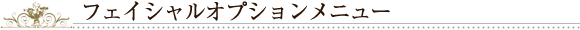 フェイシャルオプションメニュー