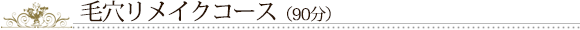 毛穴リメイクコース