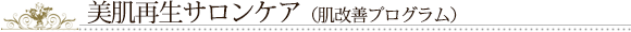 美肌再生サロンケア（肌改善プログラム）